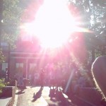 The-Root-Setters-Raise-The-Vibration-2012 (20)