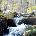 Cascades-Virginia-Tech (10)