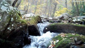 Cascades-Virginia-Tech (10)