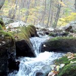 Cascades-Virginia-Tech (11)