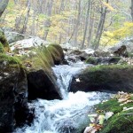 Cascades-Virginia-Tech (12)