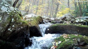 Cascades-Virginia-Tech (12)