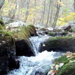Cascades-Virginia-Tech (13)