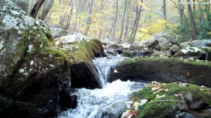 Cascades-Virginia-Tech (13)
