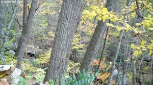 Cascades-Virginia-Tech (16)