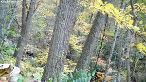 Cascades-Virginia-Tech (18)