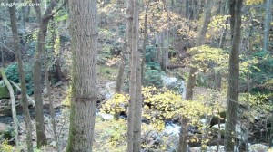Cascades-Virginia-Tech (19)