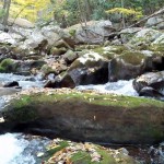 Cascades-Virginia-Tech (2)