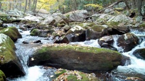 Cascades-Virginia-Tech (2)