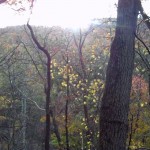 Cascades-Virginia-Tech (20)