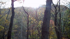 Cascades-Virginia-Tech (20)