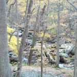 Cascades-Virginia-Tech (21)