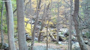 Cascades-Virginia-Tech (21)