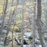 Cascades-Virginia-Tech (22)