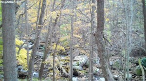 Cascades-Virginia-Tech (22)