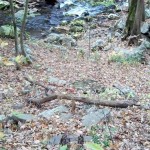 Cascades-Virginia-Tech (23)