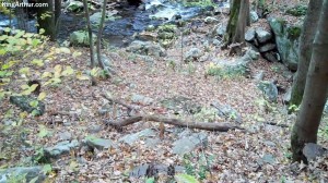 Cascades-Virginia-Tech (23)