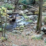 Cascades-Virginia-Tech (24)