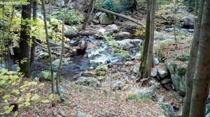 Cascades-Virginia-Tech (24)