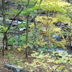 Cascades-Virginia-Tech (25)
