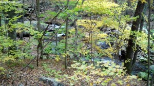 Cascades-Virginia-Tech (25)
