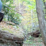 Cascades-Virginia-Tech (36)