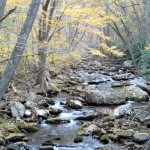 Cascades-Virginia-Tech (38)