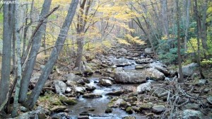Cascades-Virginia-Tech (38)