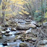 Cascades-Virginia-Tech (39)