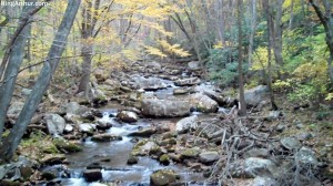 Cascades-Virginia-Tech (39)