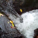 Cascades-Virginia-Tech (6)