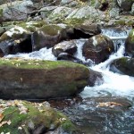 Cascades-Virginia-Tech (7)
