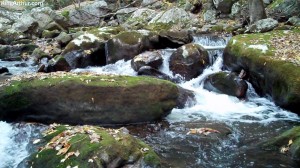 Cascades-Virginia-Tech (7)