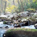 Cascades-Virginia-Tech (8)