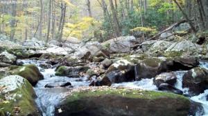 Cascades-Virginia-Tech (8)