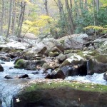 Cascades-Virginia-Tech (9)